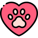 certified professional